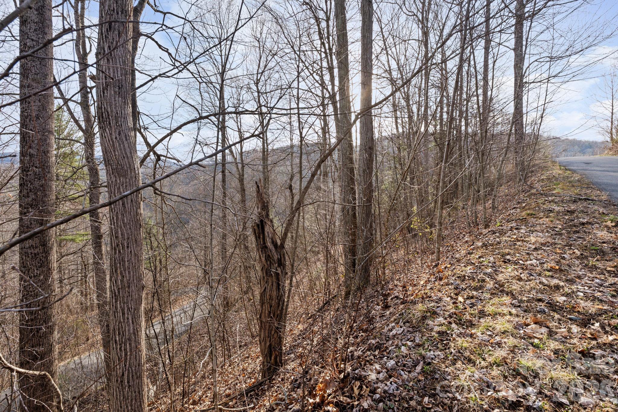 Tbd Big Rock Drive Elk Park NC 28622