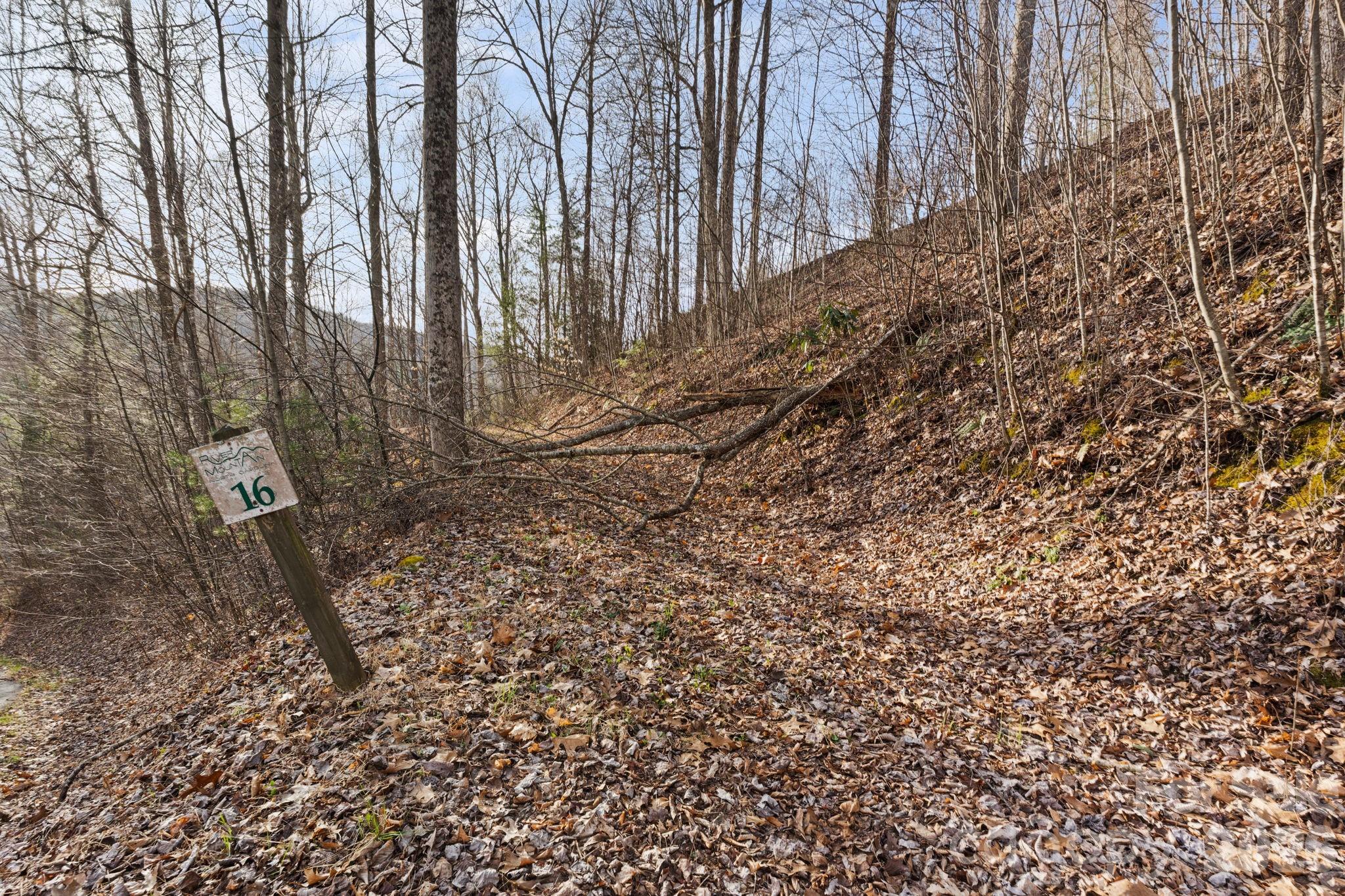 Tbd Big Rock Drive Elk Park NC 28622