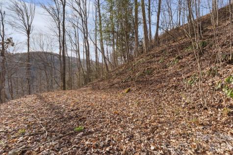 Tbd Big Rock Drive Elk Park NC 28622