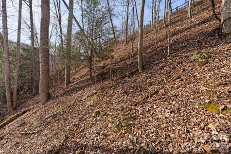 Tbd Big Rock Drive Elk Park NC 28622