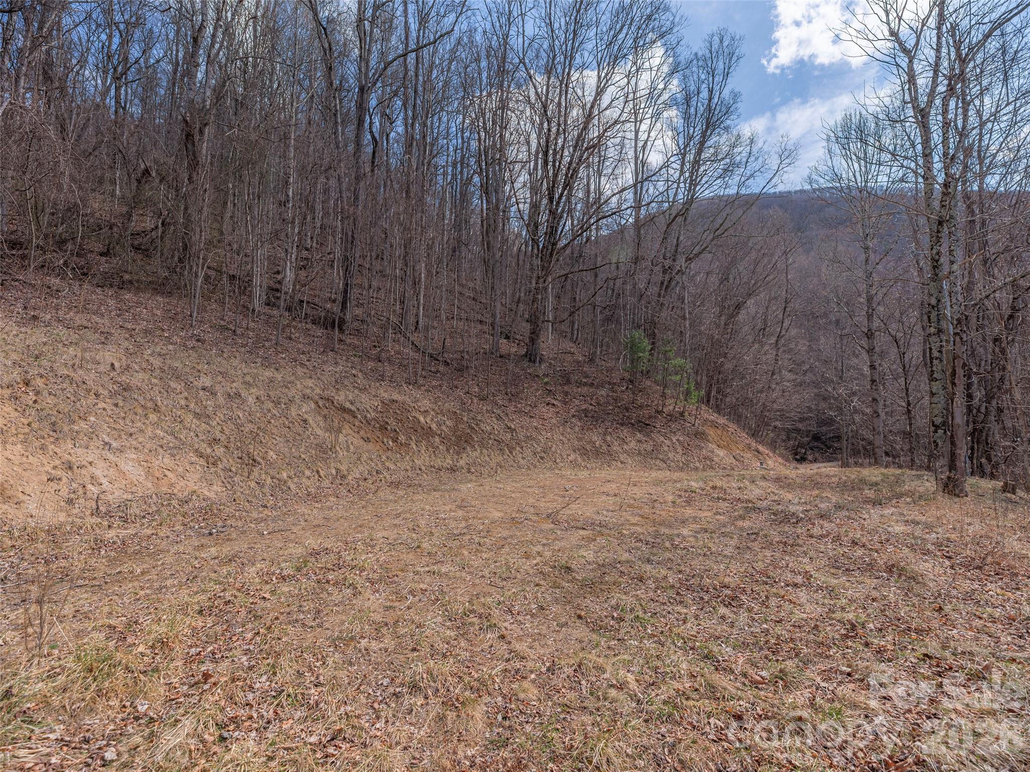 399 Goodson Spring Road Waynesville NC 28786