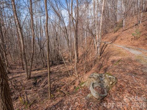 399 Goodson Spring Road Waynesville NC 28786