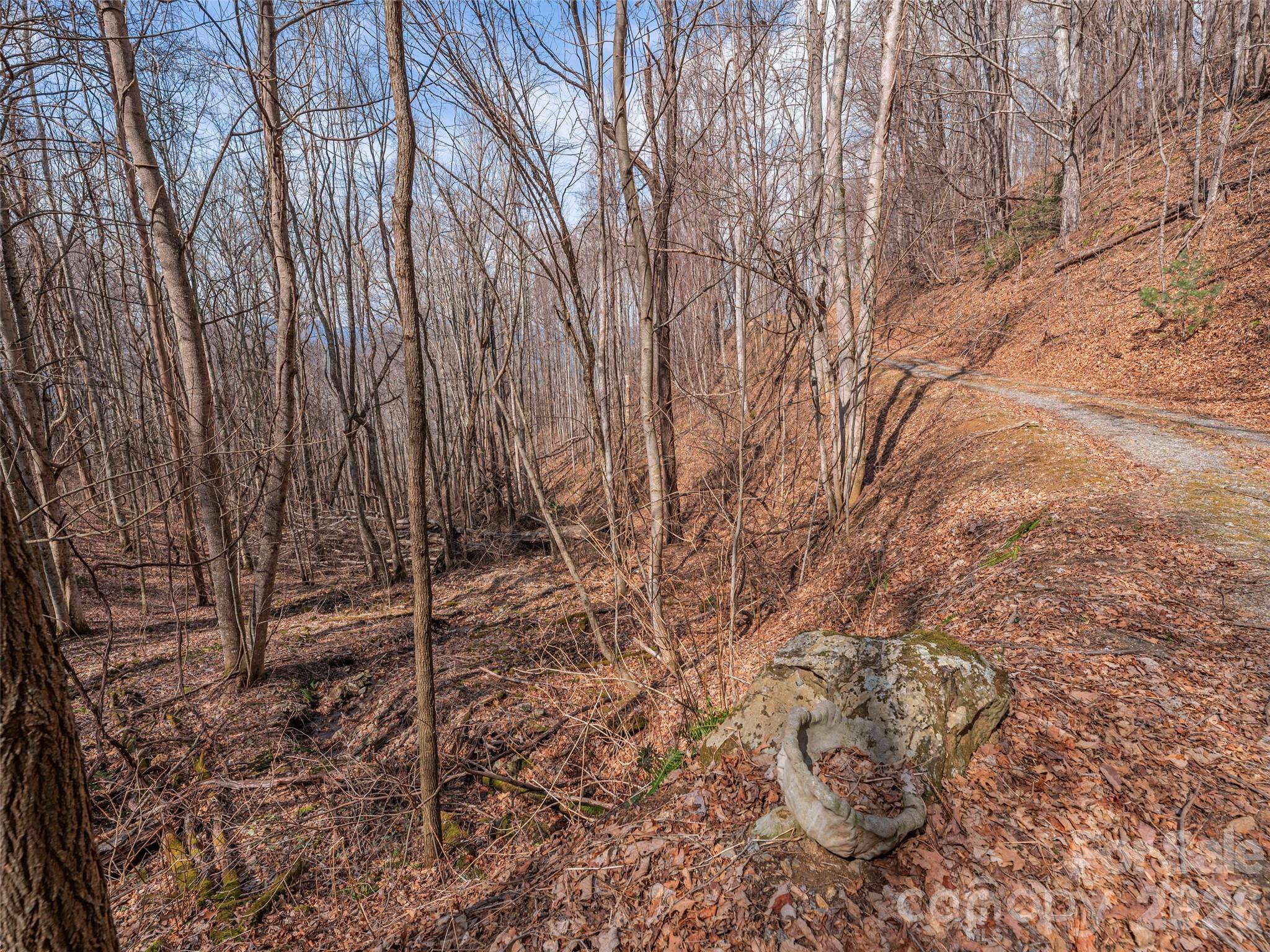 399 Goodson Spring Road Waynesville NC 28786