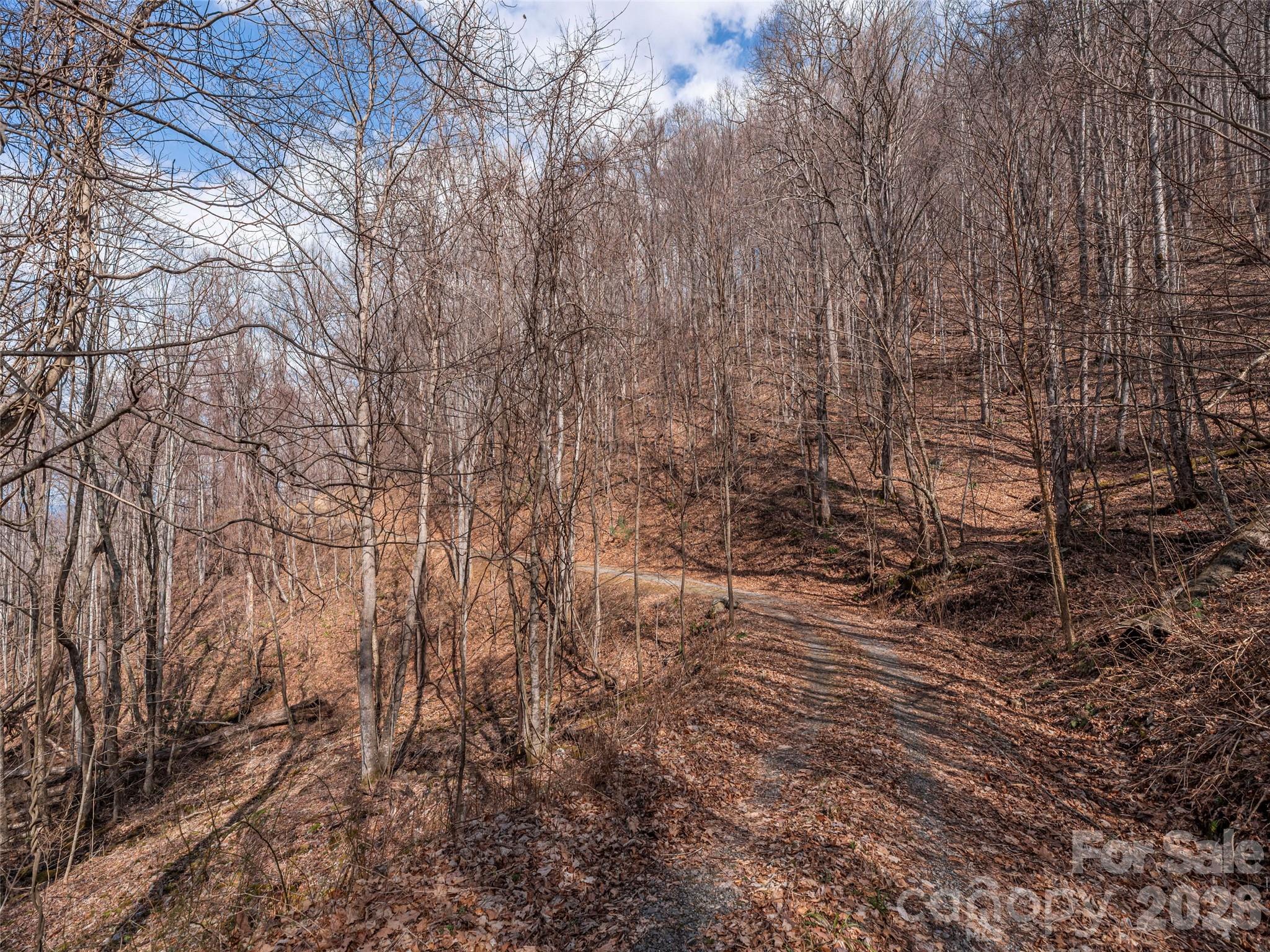 399 Goodson Spring Road Waynesville NC 28786