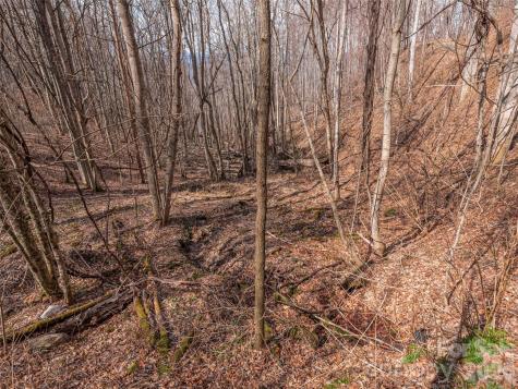 399 Goodson Spring Road Waynesville NC 28786