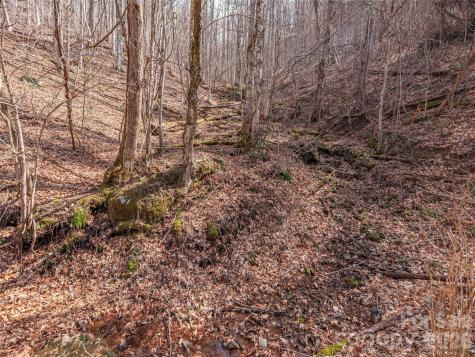 399 Goodson Spring Road Waynesville NC 28786