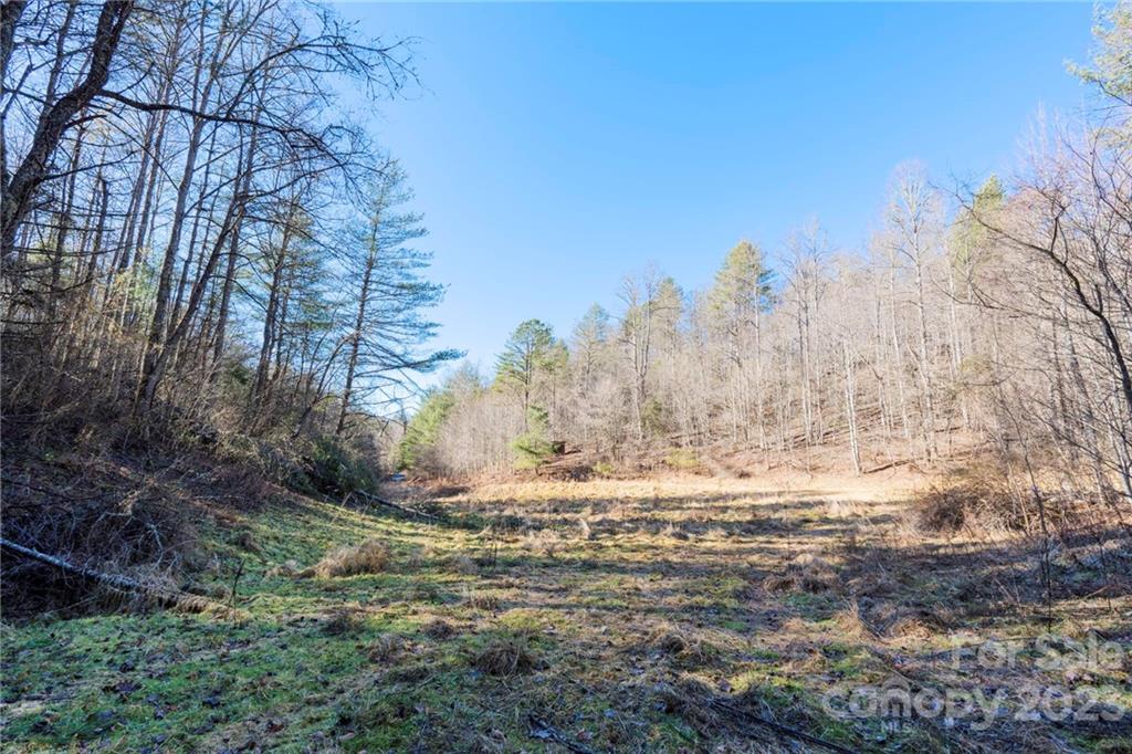 2543 Revere Road Marshall NC 28753