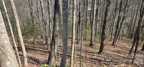 85 Shinnecock Drive Mills River NC 28759