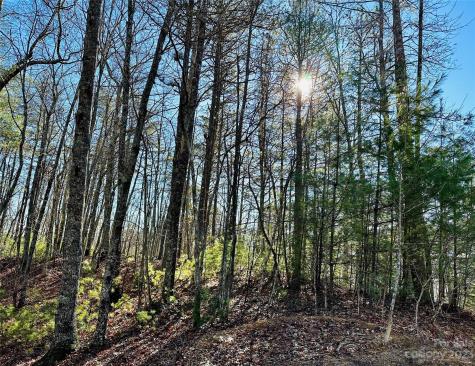 71 Turkey Trot Trail Marshall NC 28753