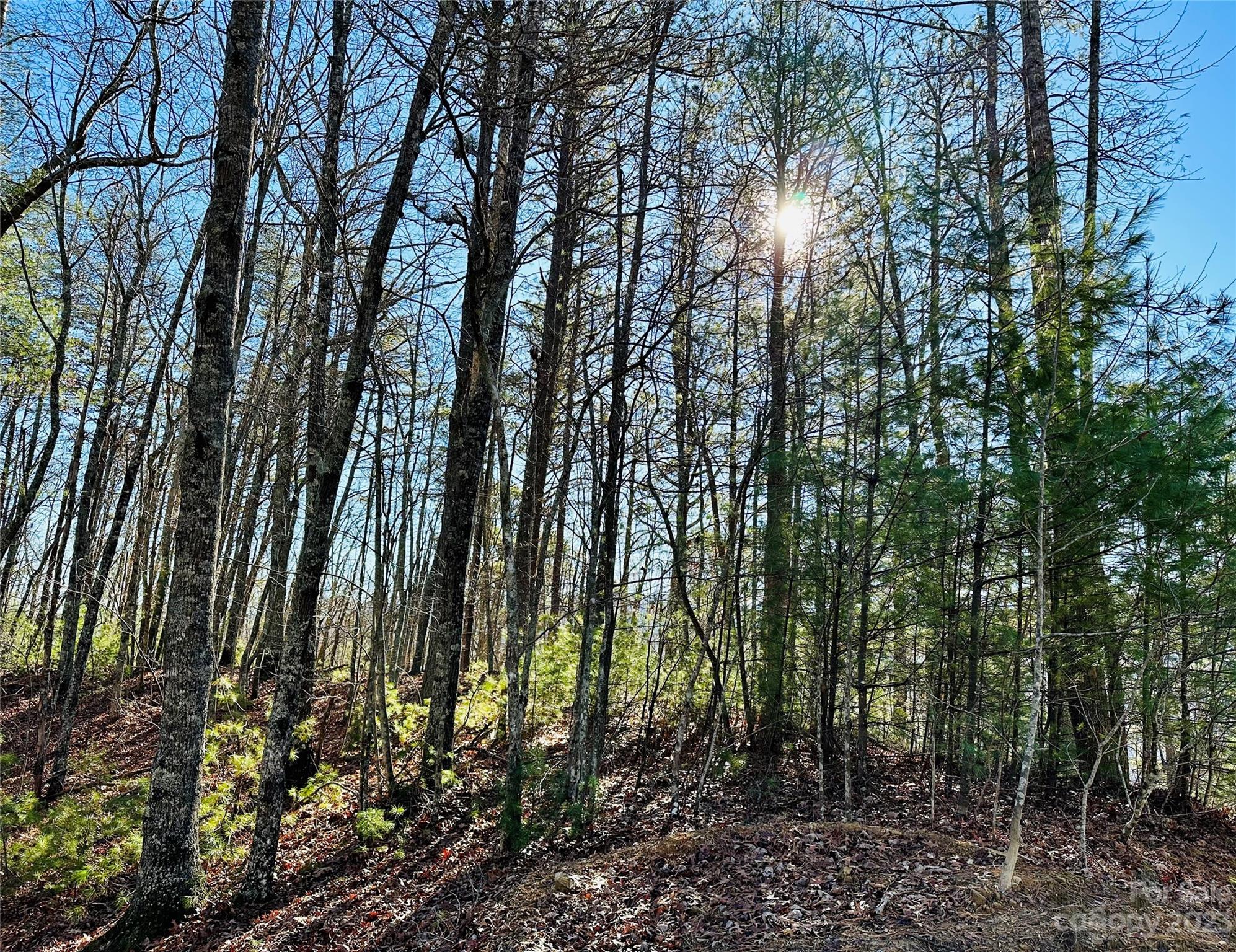 71 Turkey Trot Trail Marshall NC 28753