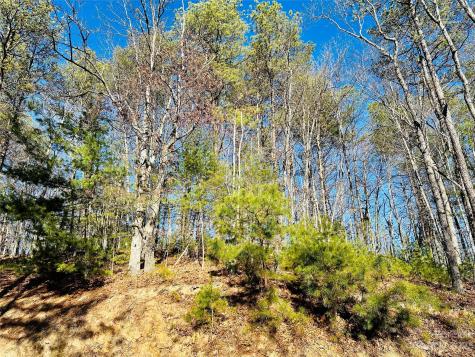 71 Turkey Trot Trail Marshall NC 28753