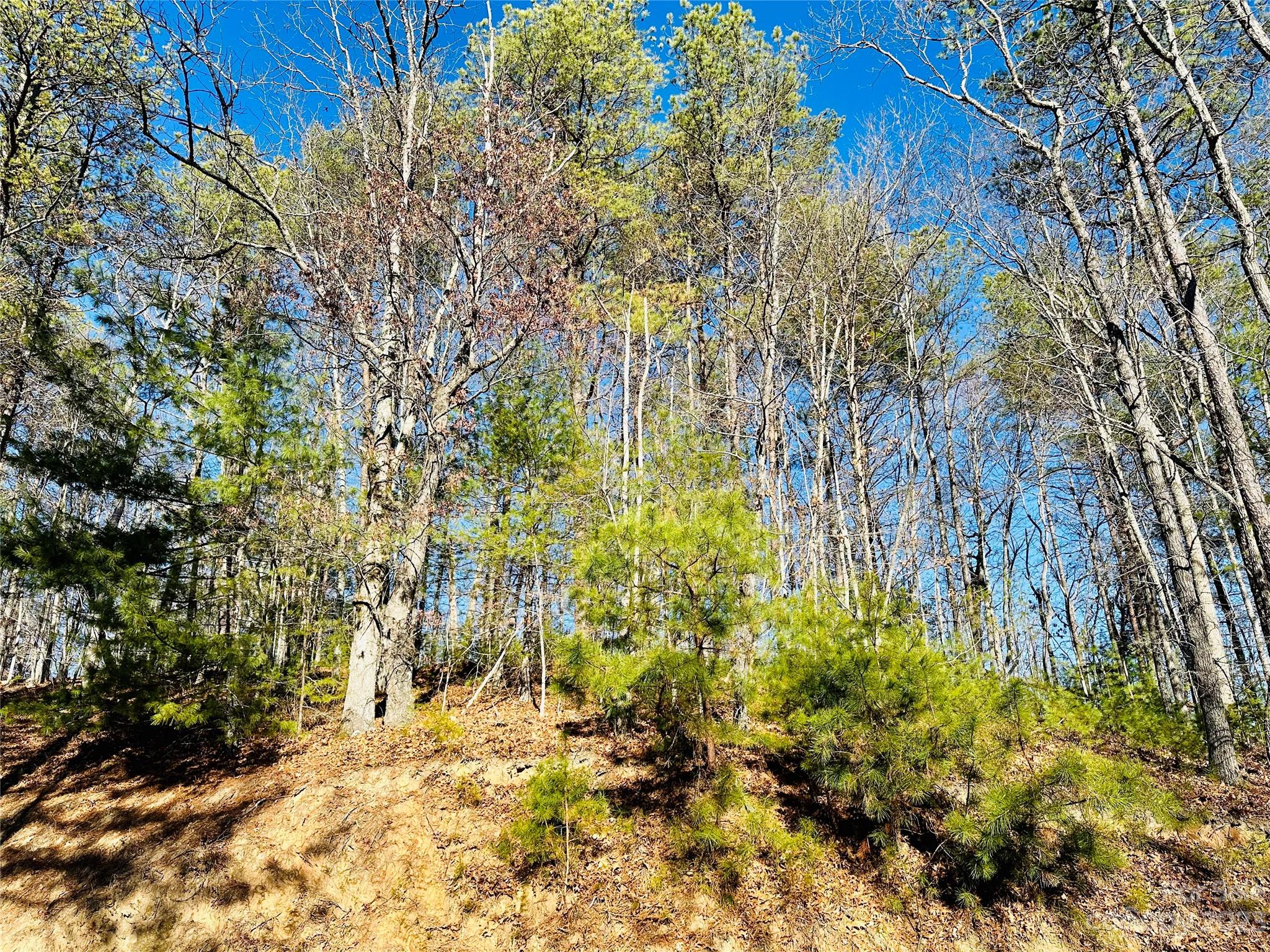 71 Turkey Trot Trail Marshall NC 28753
