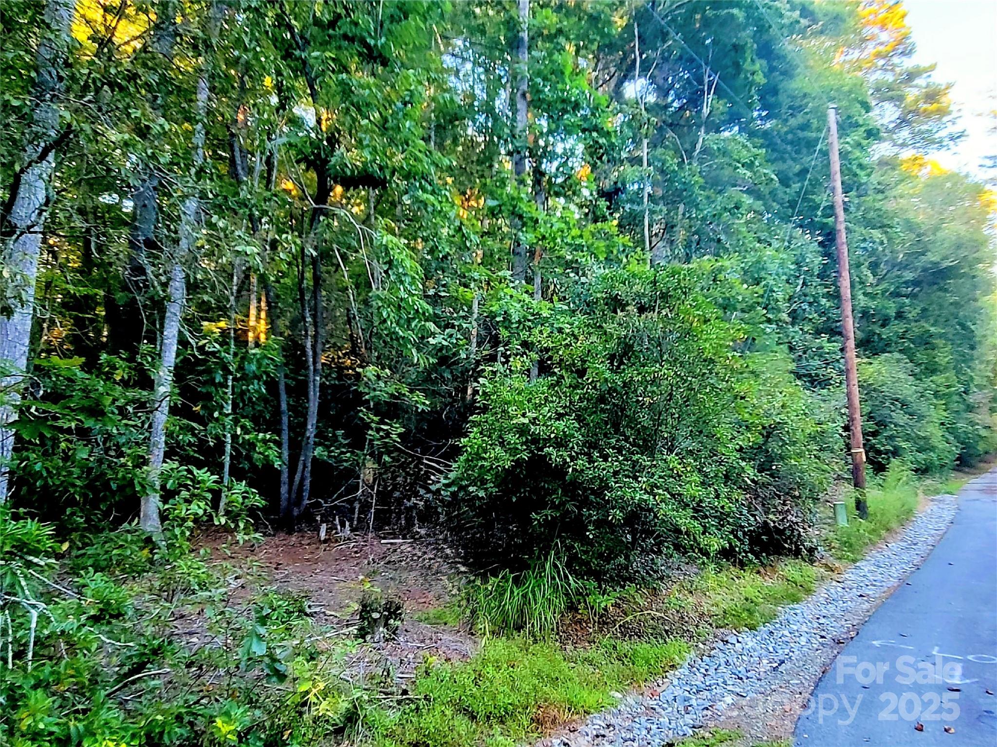 0 Broyles Road Hendersonville NC 28791
