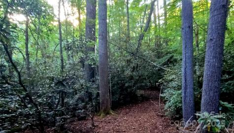 0 Broyles Road Hendersonville NC 28791