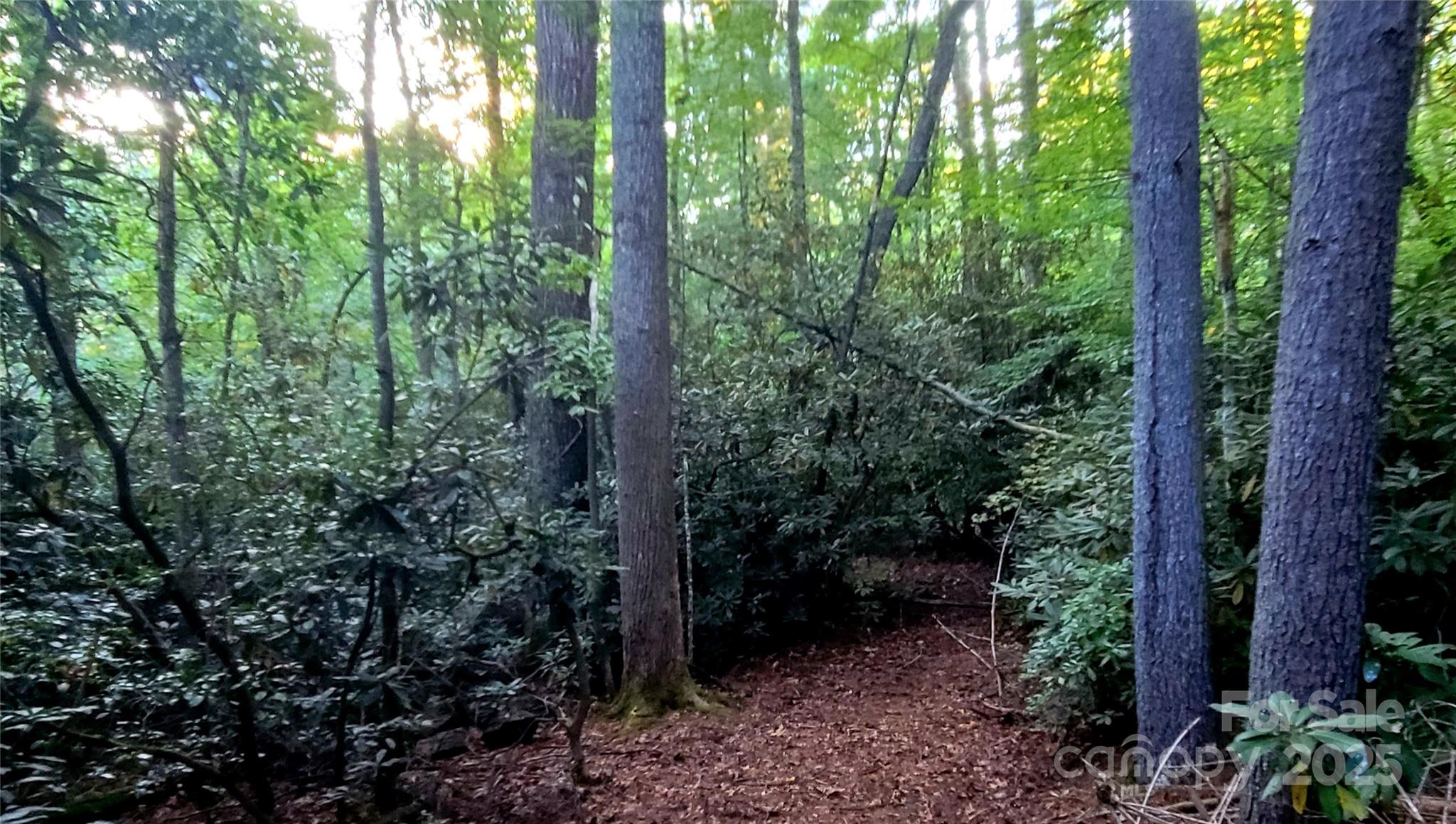 0 Broyles Road Hendersonville NC 28791