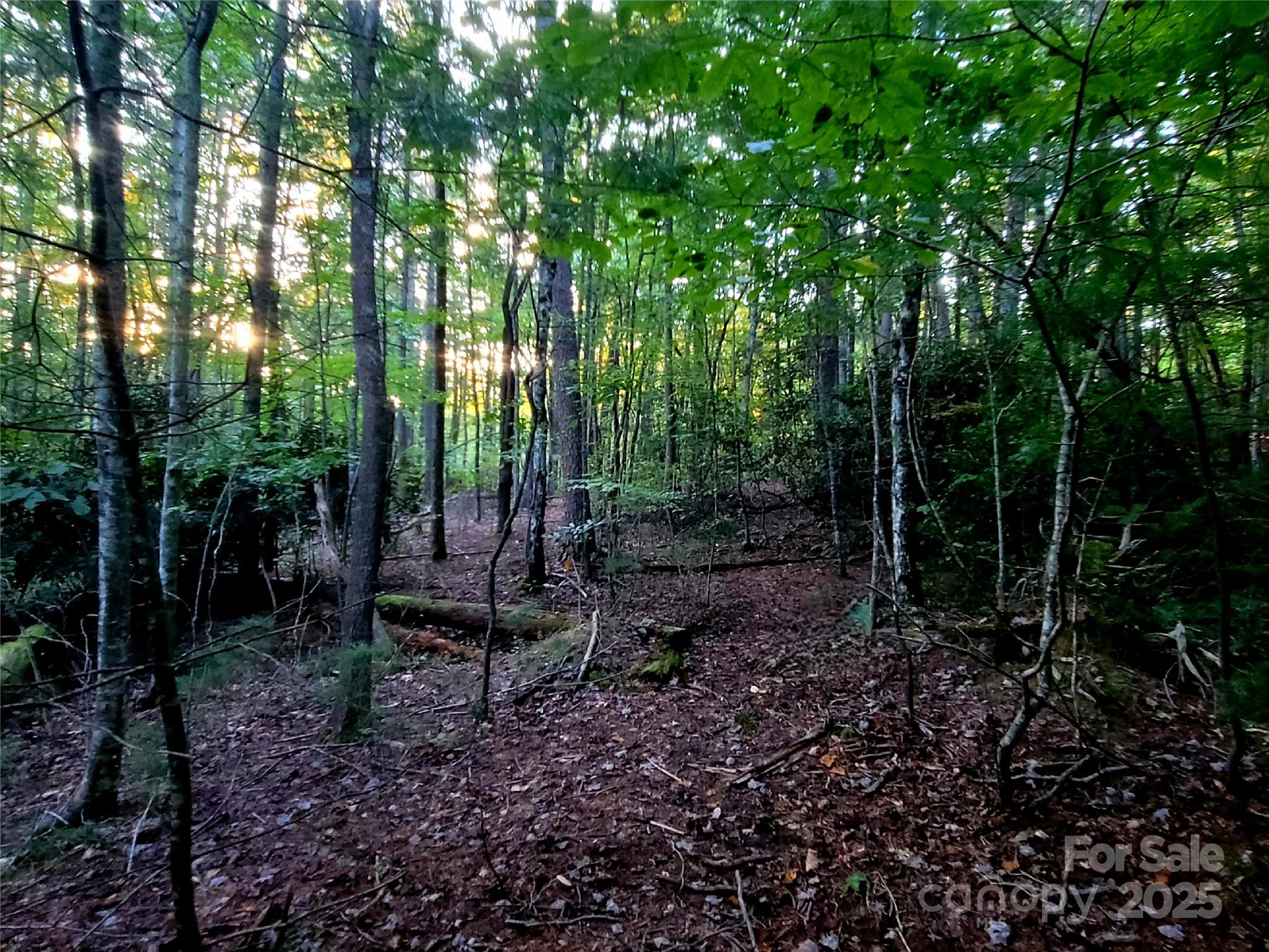 0 Broyles Road Hendersonville NC 28791