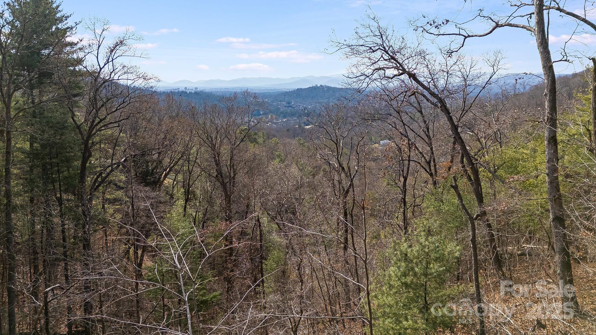 00 Garland Drive Asheville NC 28804