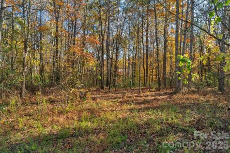 0000 Bud Davis Road Vale NC 28168