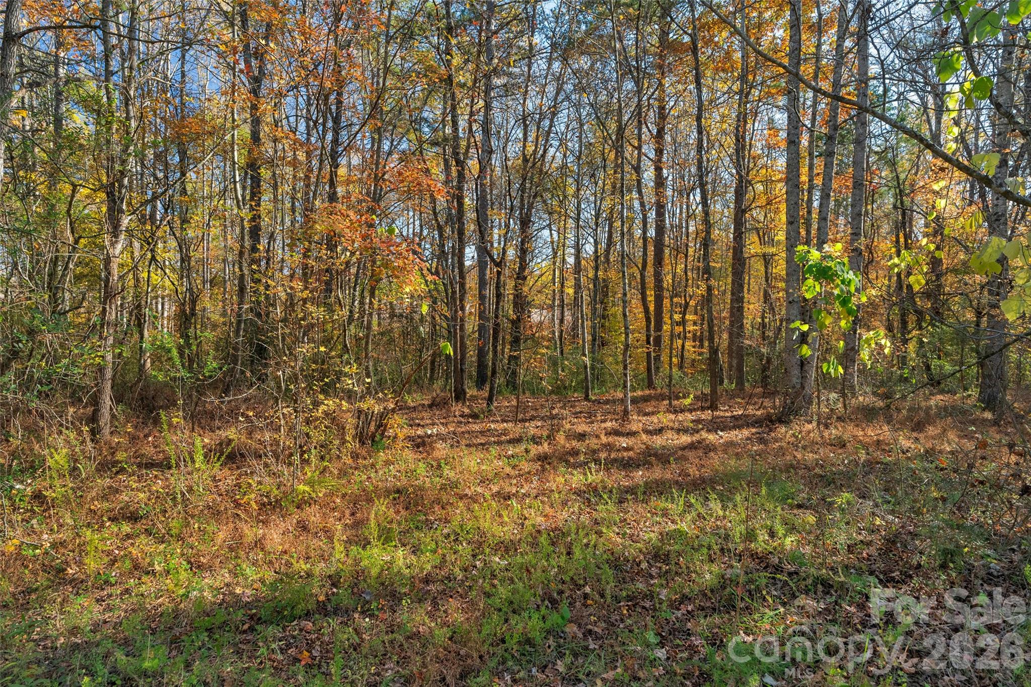 0000 Bud Davis Road Vale NC 28168