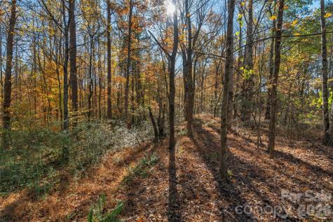 0000 Bud Davis Road Vale NC 28168