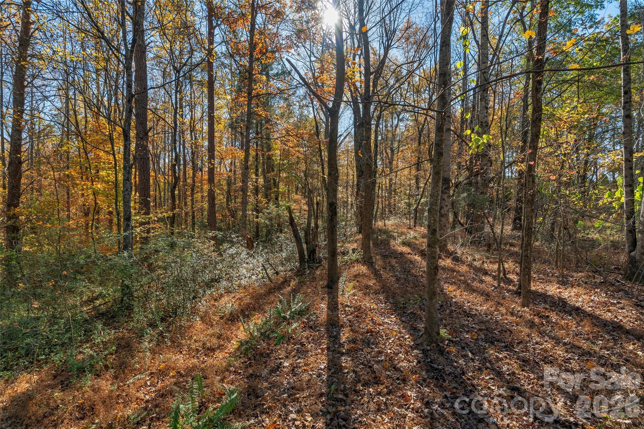0000 Bud Davis Road Vale NC 28168