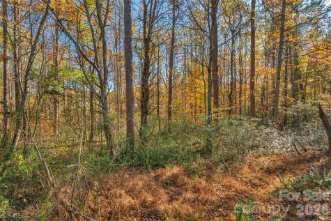 0000 Bud Davis Road Vale NC 28168