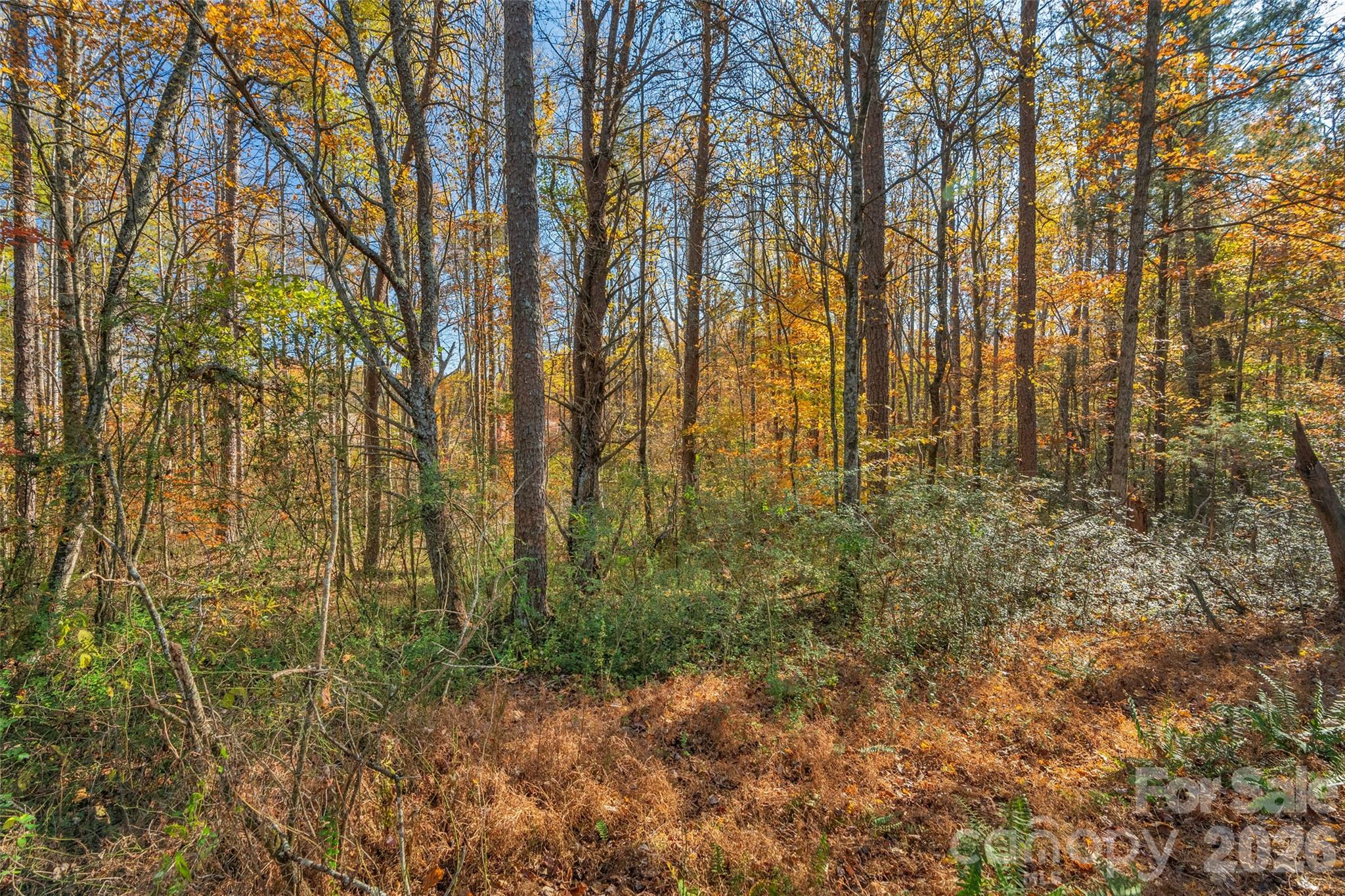 0000 Bud Davis Road Vale NC 28168