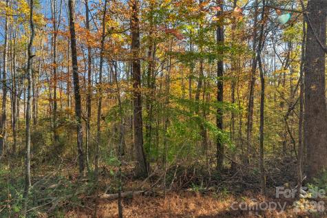 0000 Bud Davis Road Vale NC 28168