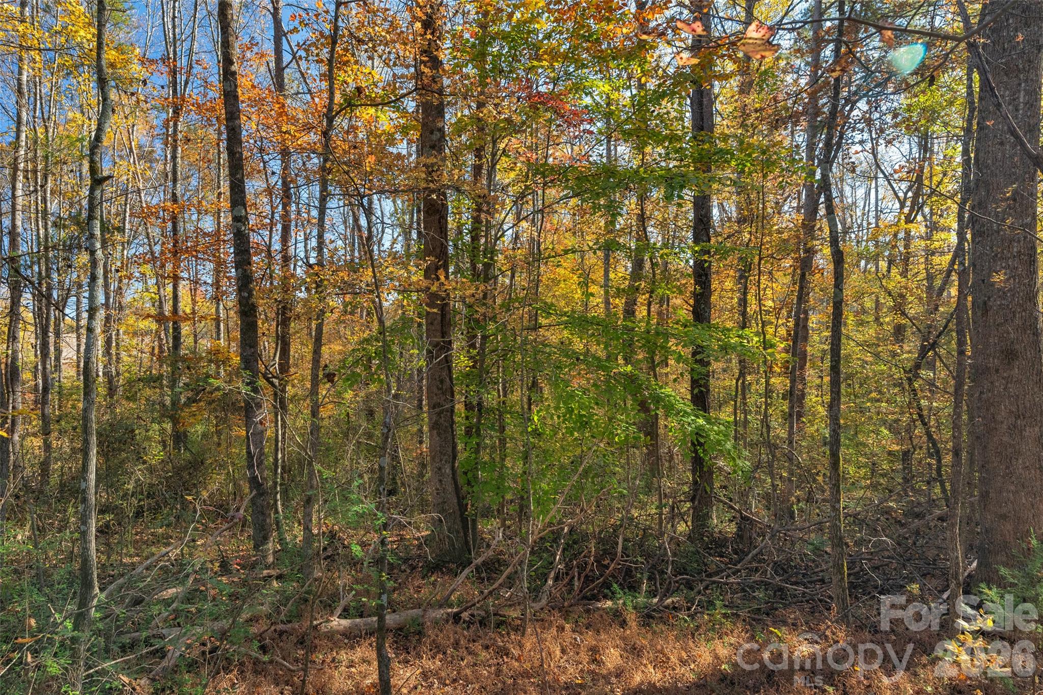 0000 Bud Davis Road Vale NC 28168