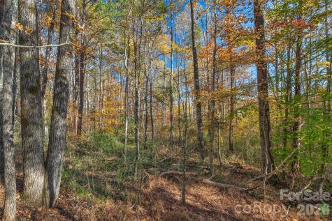 0000 Bud Davis Road Vale NC 28168