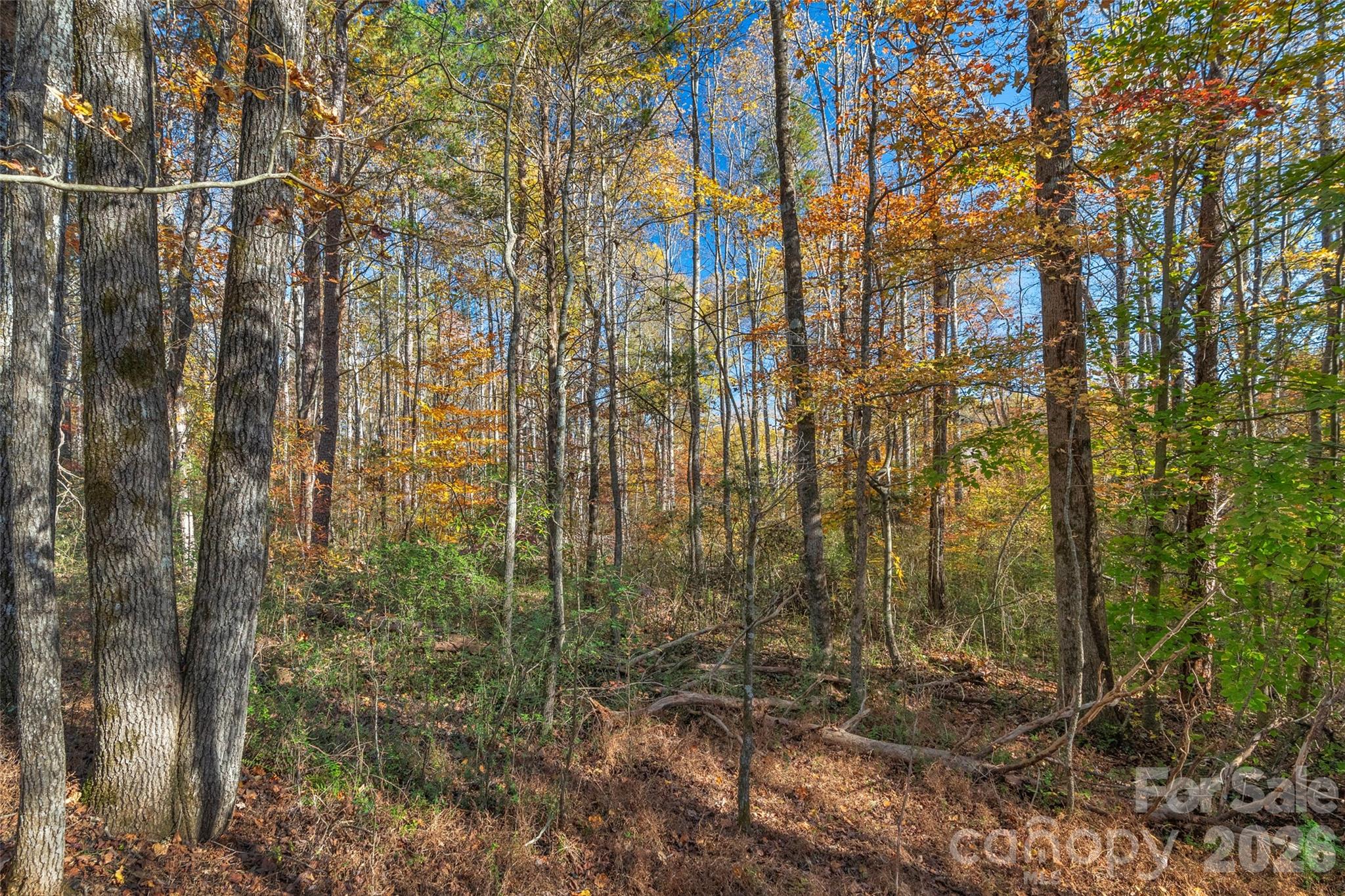 0000 Bud Davis Road Vale NC 28168