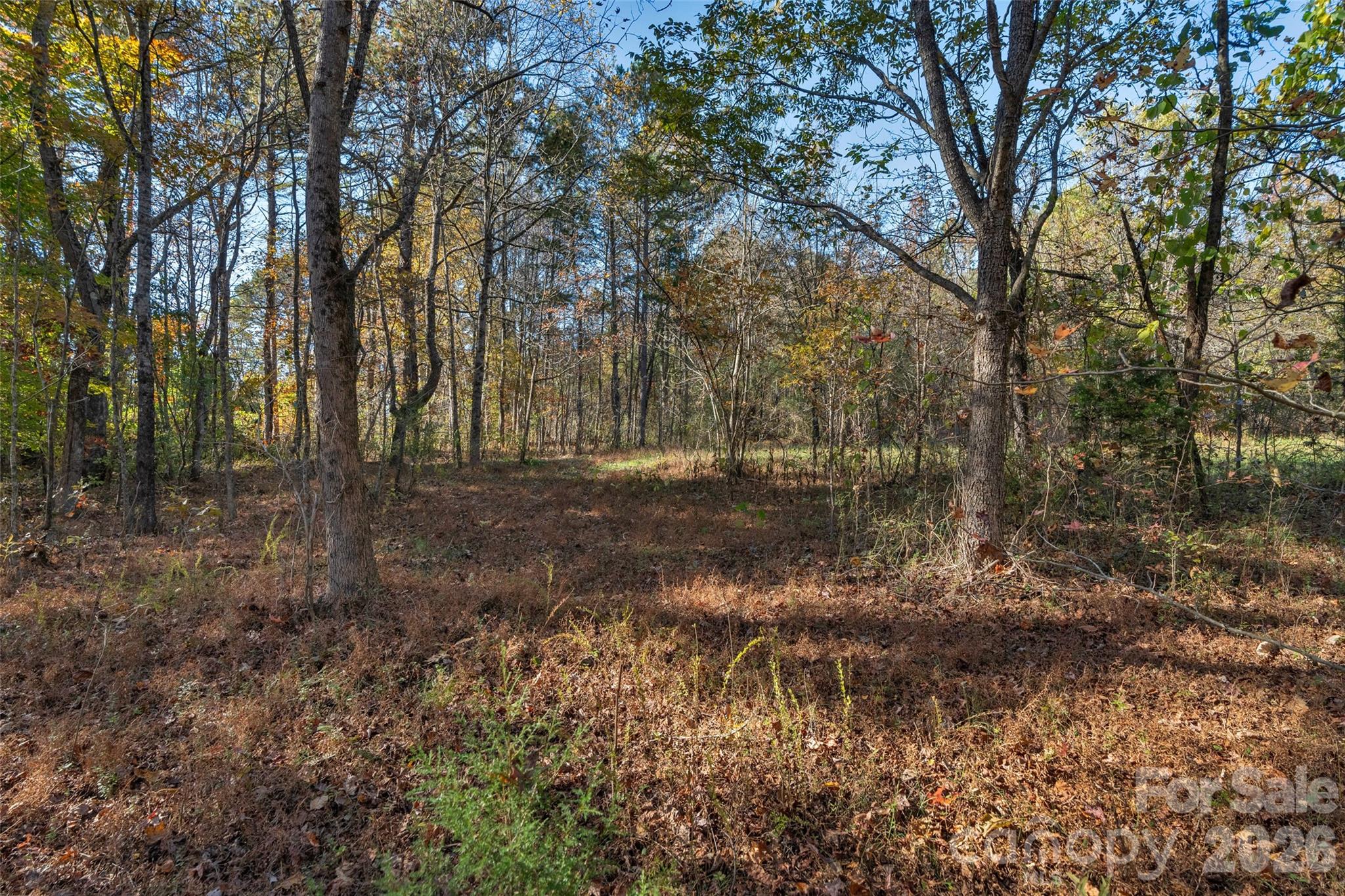 0000 Bud Davis Road Vale NC 28168