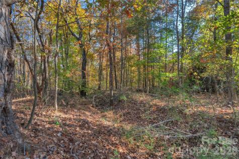 0000 Bud Davis Road Vale NC 28168