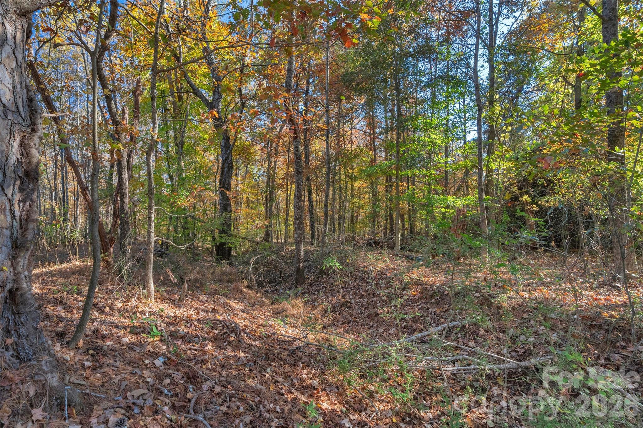 0000 Bud Davis Road Vale NC 28168