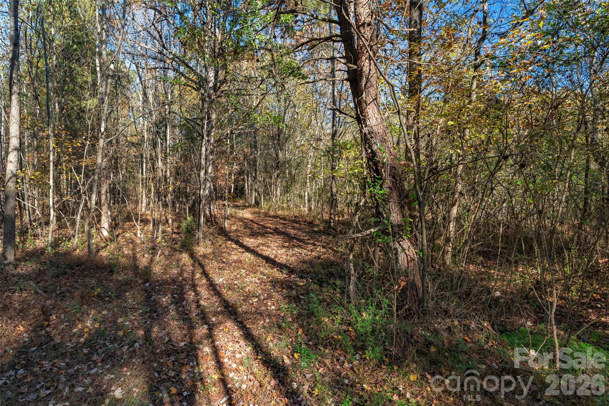 0000 Bud Davis Road Vale NC 28168