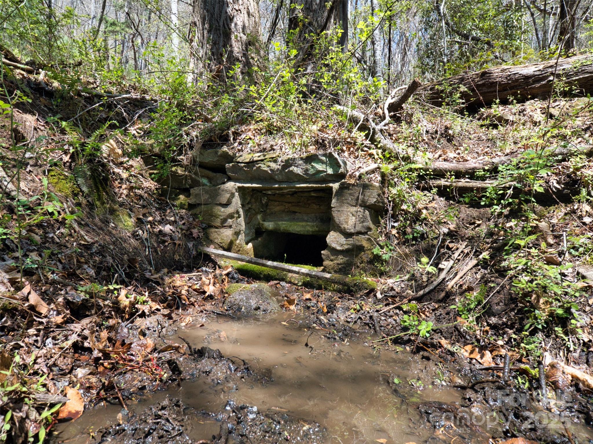 796 Upper Glady Fork Road Candler NC 28715