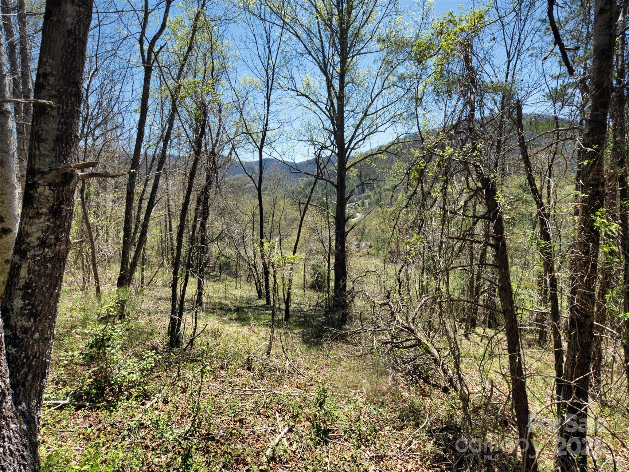 796 Upper Glady Fork Road Candler NC 28715