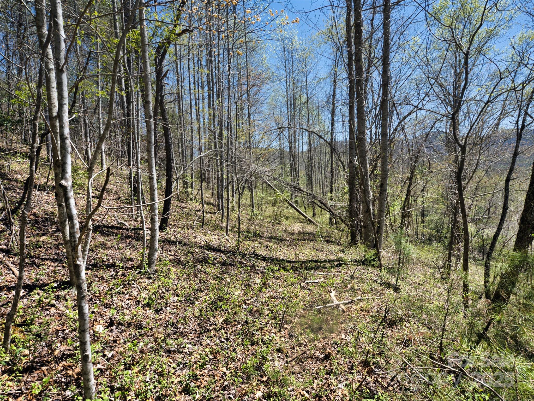 796 Upper Glady Fork Road Candler NC 28715