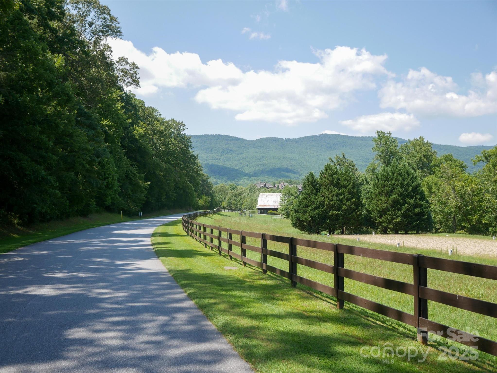 00 Deep Gap Road E Mill Spring NC 28756