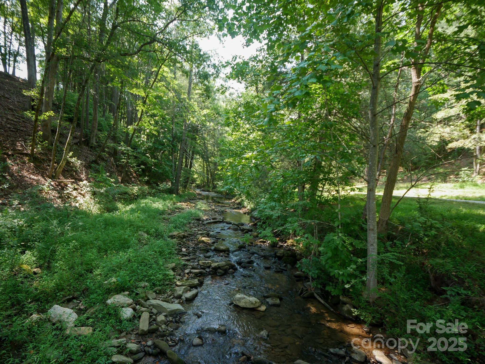 00 Deep Gap Road E Mill Spring NC 28756