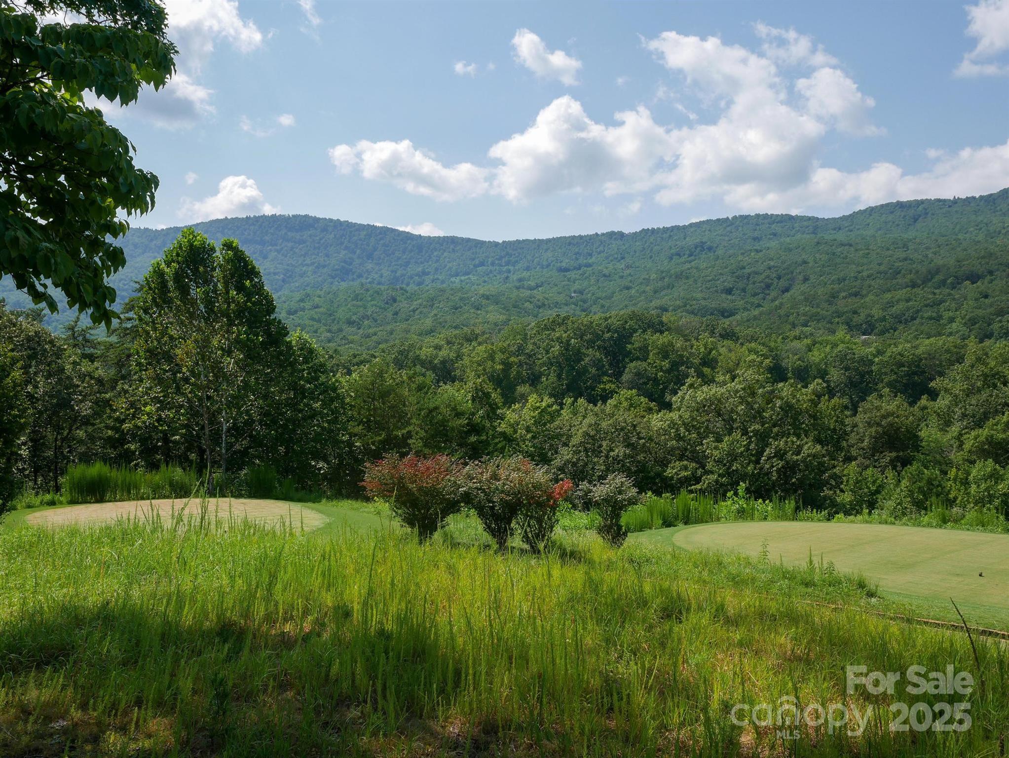 00 Deep Gap Road E Mill Spring NC 28756