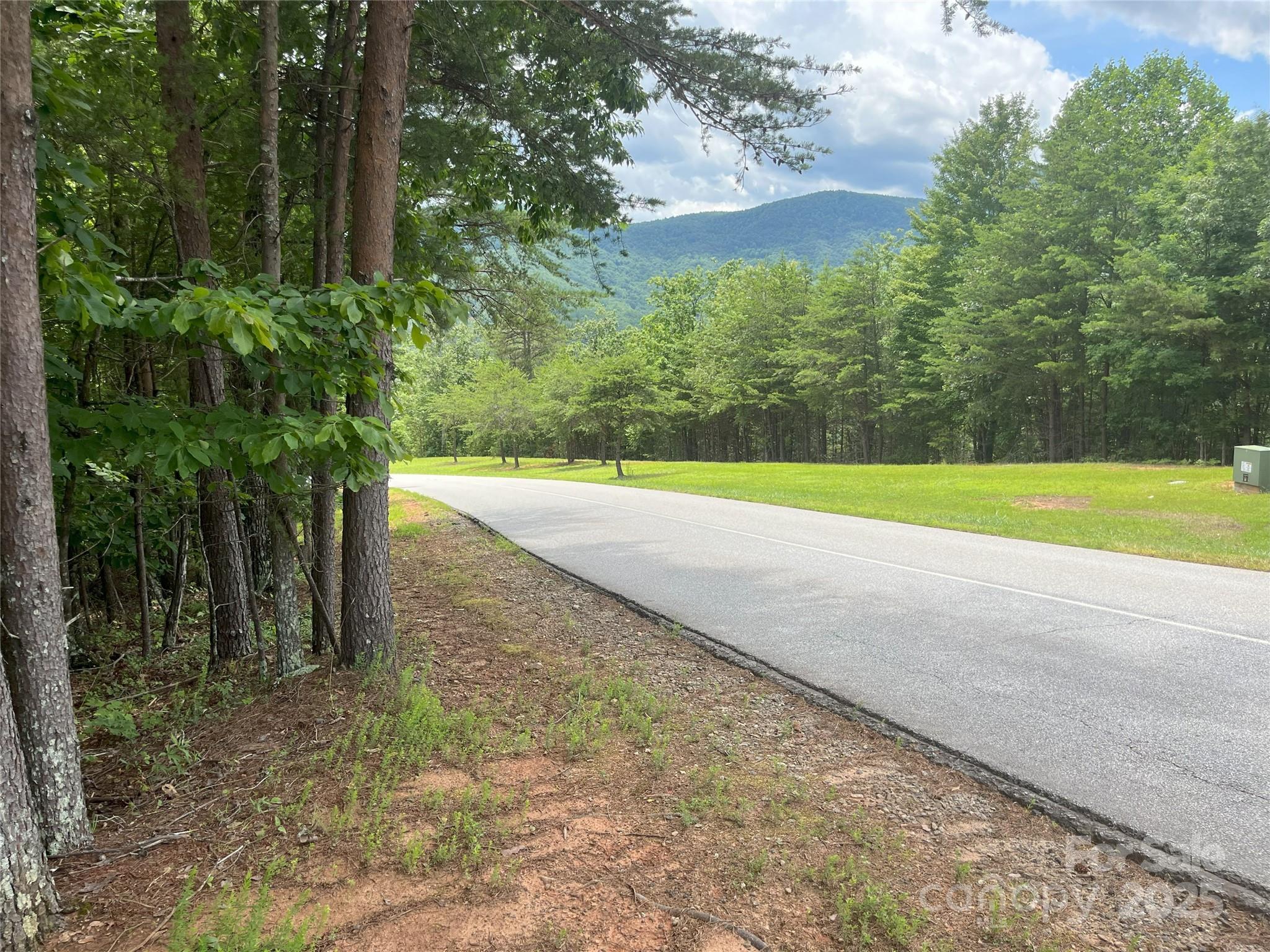 00 Deep Gap Road E Mill Spring NC 28756