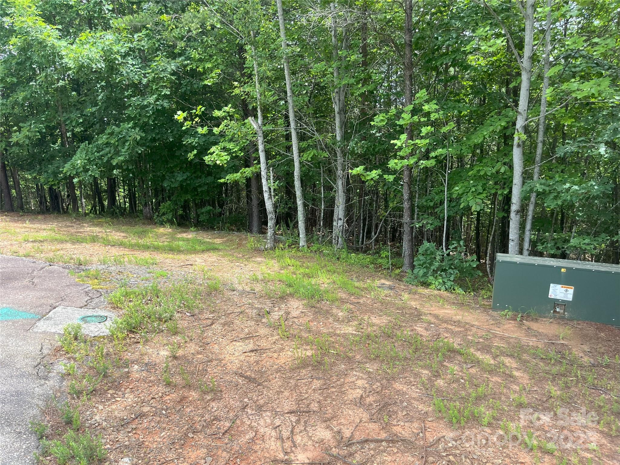 00 Deep Gap Road E Mill Spring NC 28756