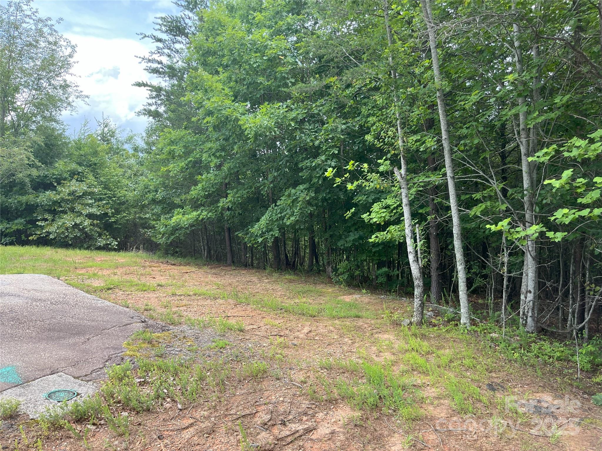 00 Deep Gap Road E Mill Spring NC 28756