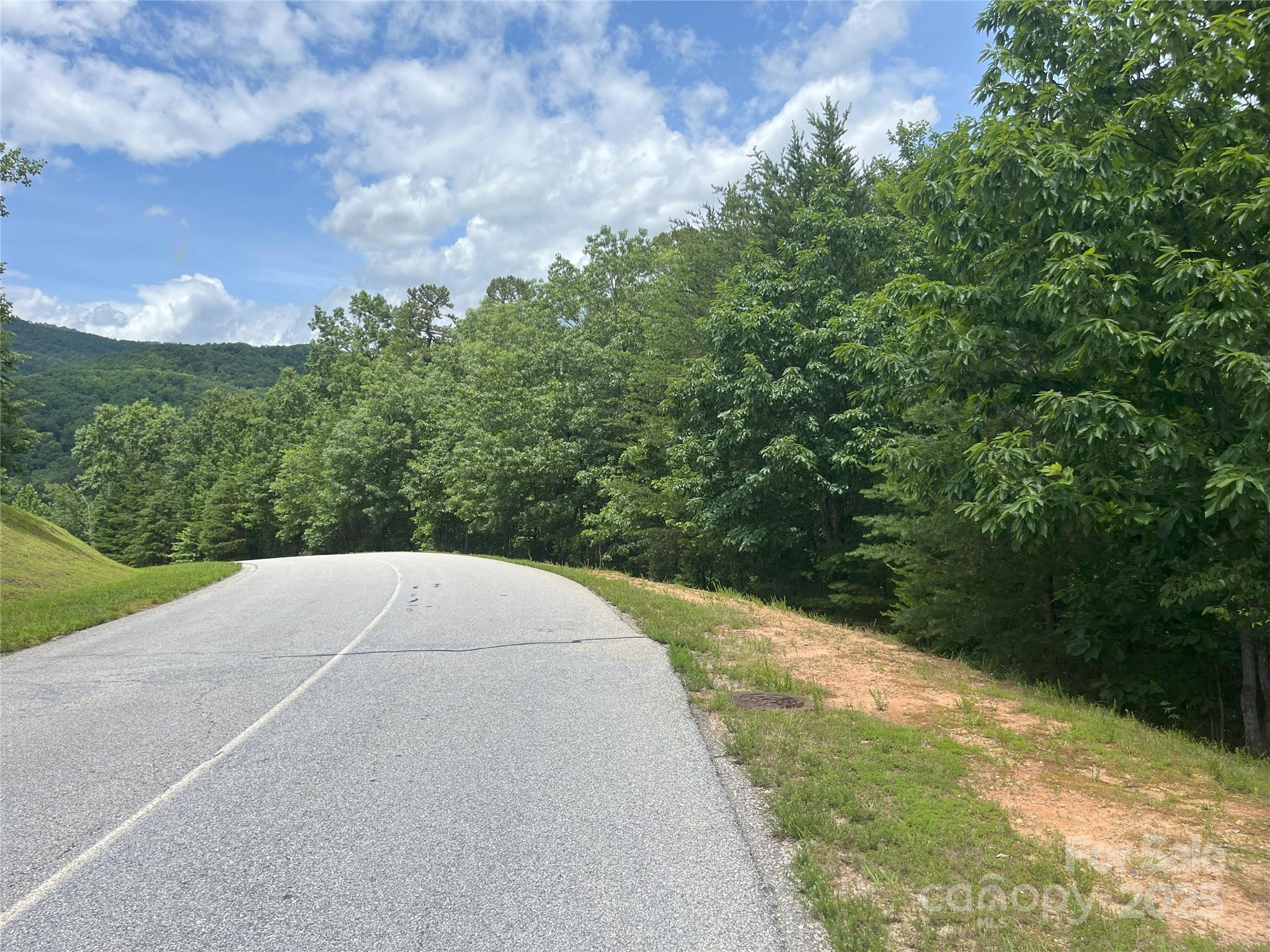 00 Deep Gap Road E Mill Spring NC 28756