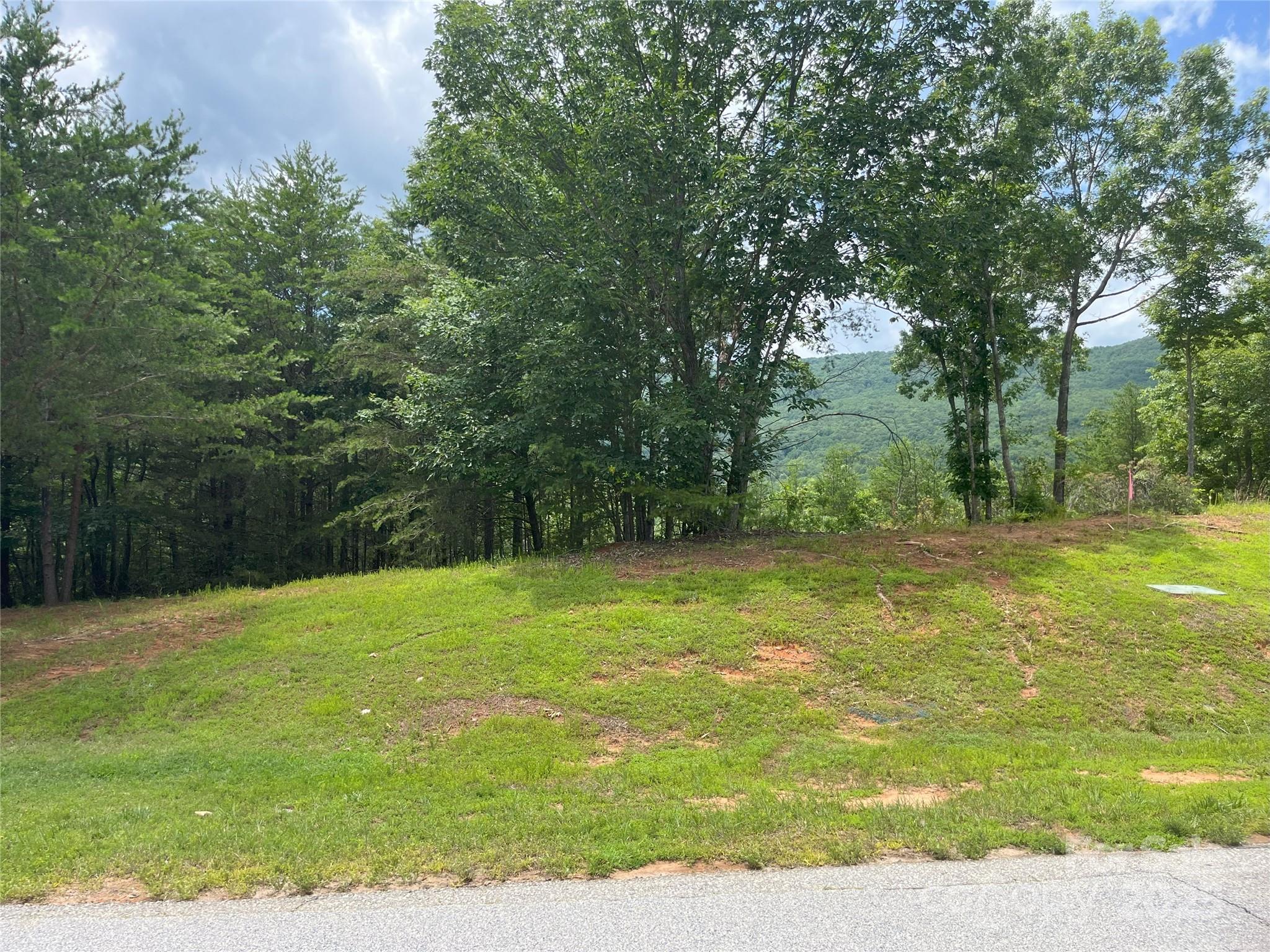 00 Deep Gap Road E Mill Spring NC 28756