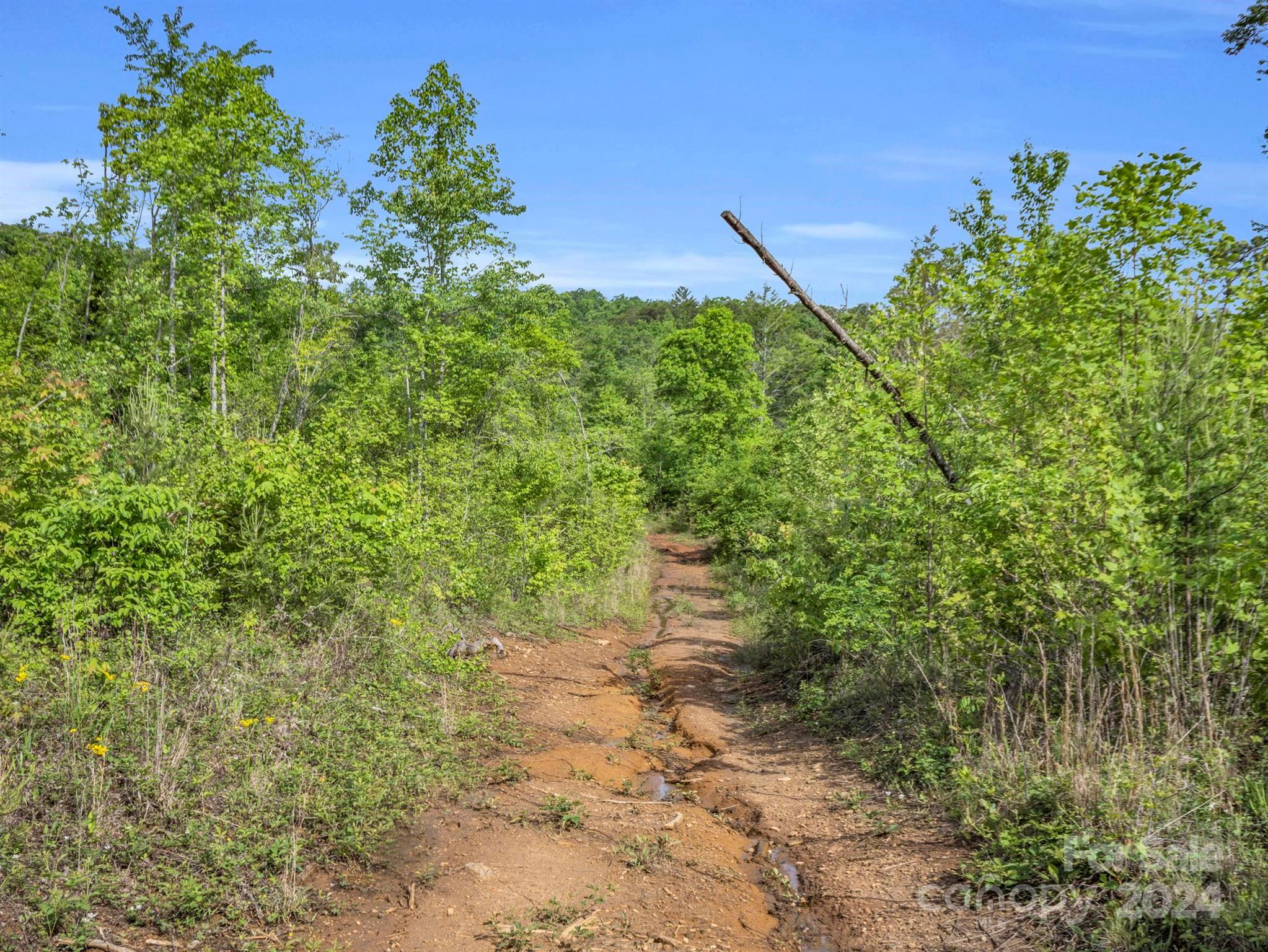 0 Bills Creek Road Lake Lure NC 28746