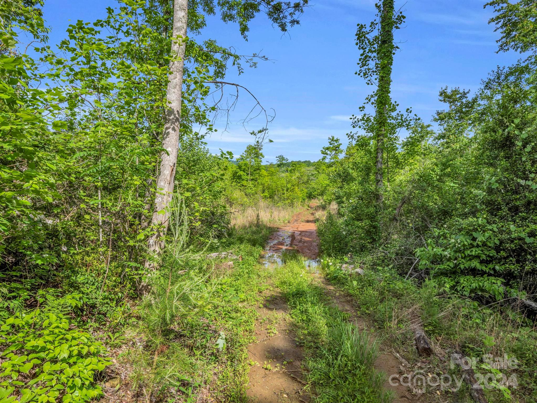 0 Bills Creek Road Lake Lure NC 28746