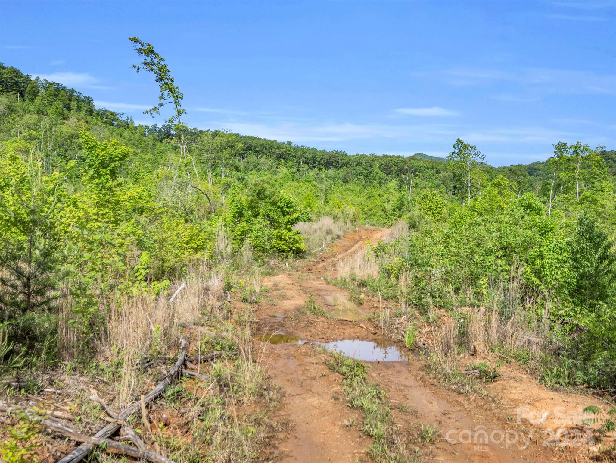 0 Bills Creek Road Lake Lure NC 28746