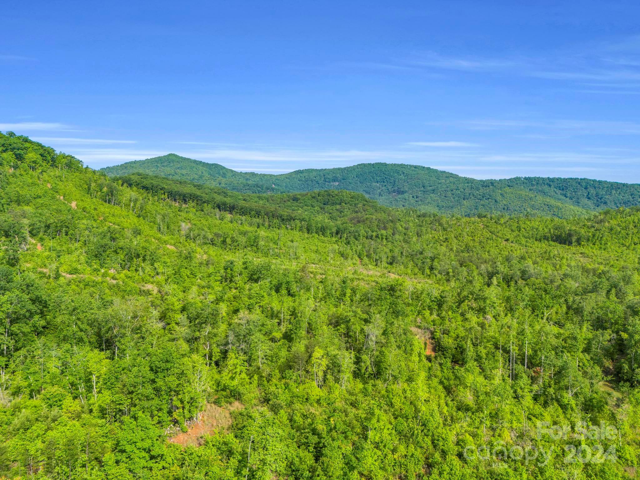 0 Bills Creek Road Lake Lure NC 28746